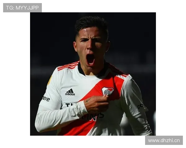 恩佐·费尔南德斯：世界杯冠军成员身份解析