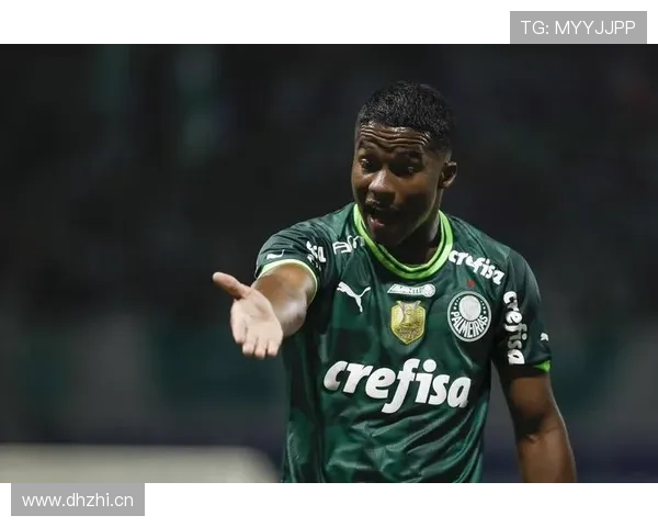 帕尔梅拉斯爆发赛季：恩德里克如何打出惊艳表现